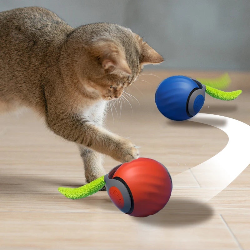Bouncing Ball Pet Toy