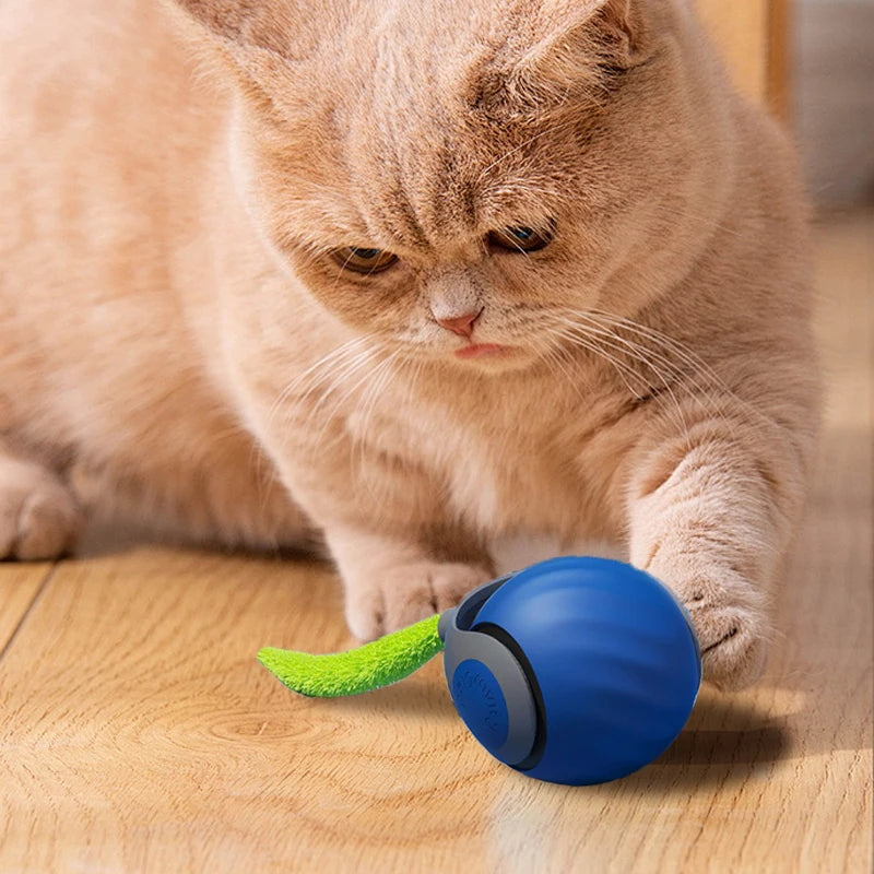Bouncing Ball Pet Toy