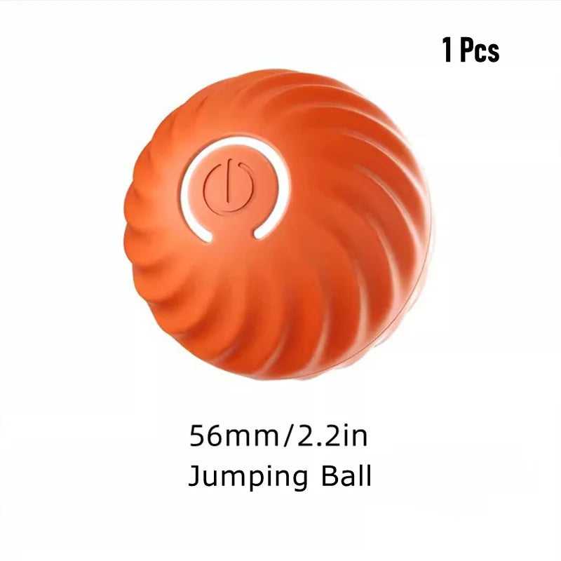 Bouncing Ball Pet Toy