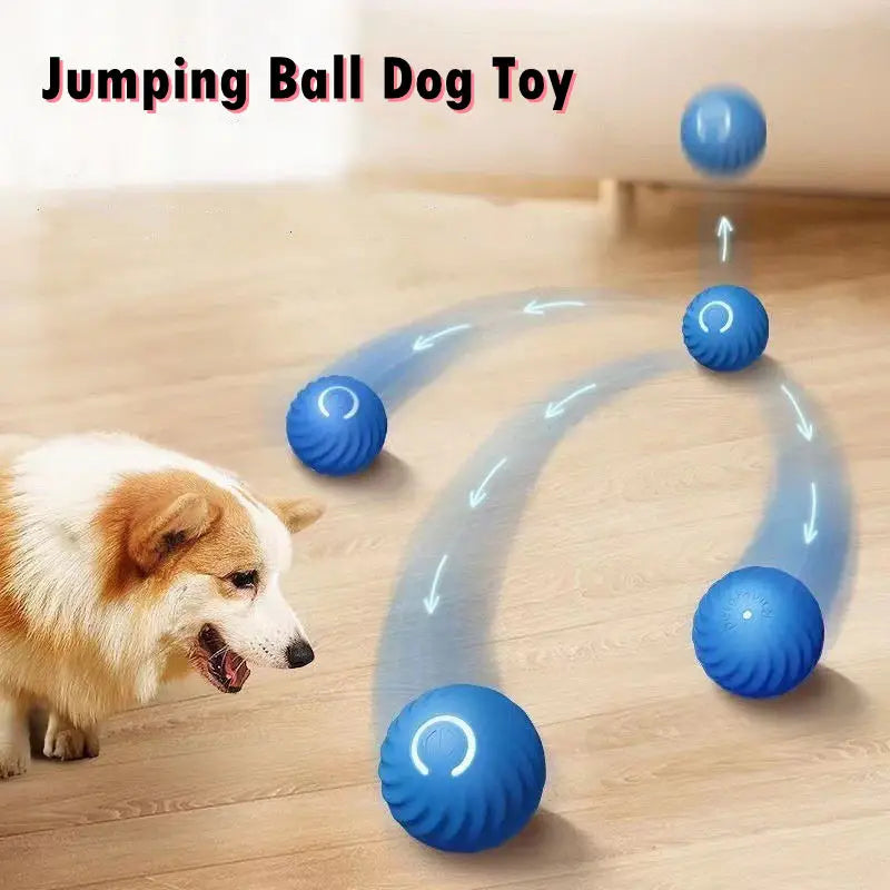 Bouncing Ball Pet Toy
