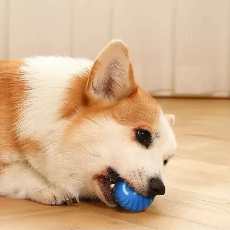 Bouncing Ball Pet Toy