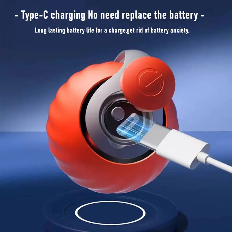 Bouncing Ball Pet Toy