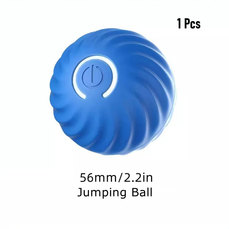 Bouncing Ball Pet Toy